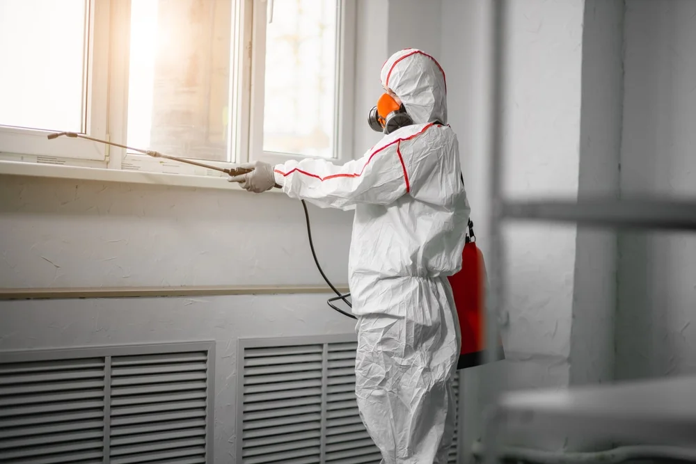 Professional mold remediation services in Footville, WI